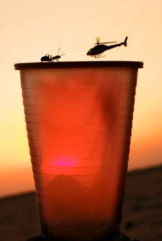 ant-vs-helicopter